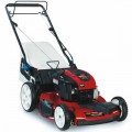 Toro Recycler SmartStow (22") 190cc Self-Propelled Lawn Mower