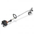 Tanaka Professional 25cc 2-Cycle Stick Edger