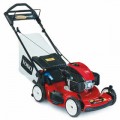 Toro Recycler (22") 159cc Personal Pace Lawn Mower